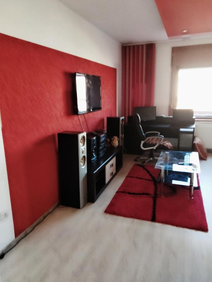 Apartament Cu Terasa La Casa Tina Timisoara Exterior photo
