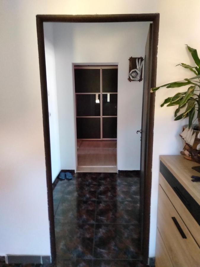 Apartament Cu Terasa La Casa Tina Timisoara Exterior photo
