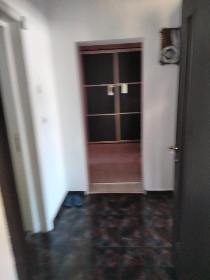 Apartament Cu Terasa La Casa Tina Timisoara Exterior photo