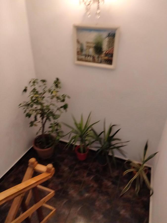 Apartament Cu Terasa La Casa Tina Timisoara Exterior photo