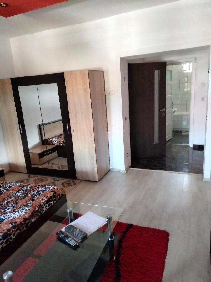 Apartament Cu Terasa La Casa Tina Timisoara Exterior photo