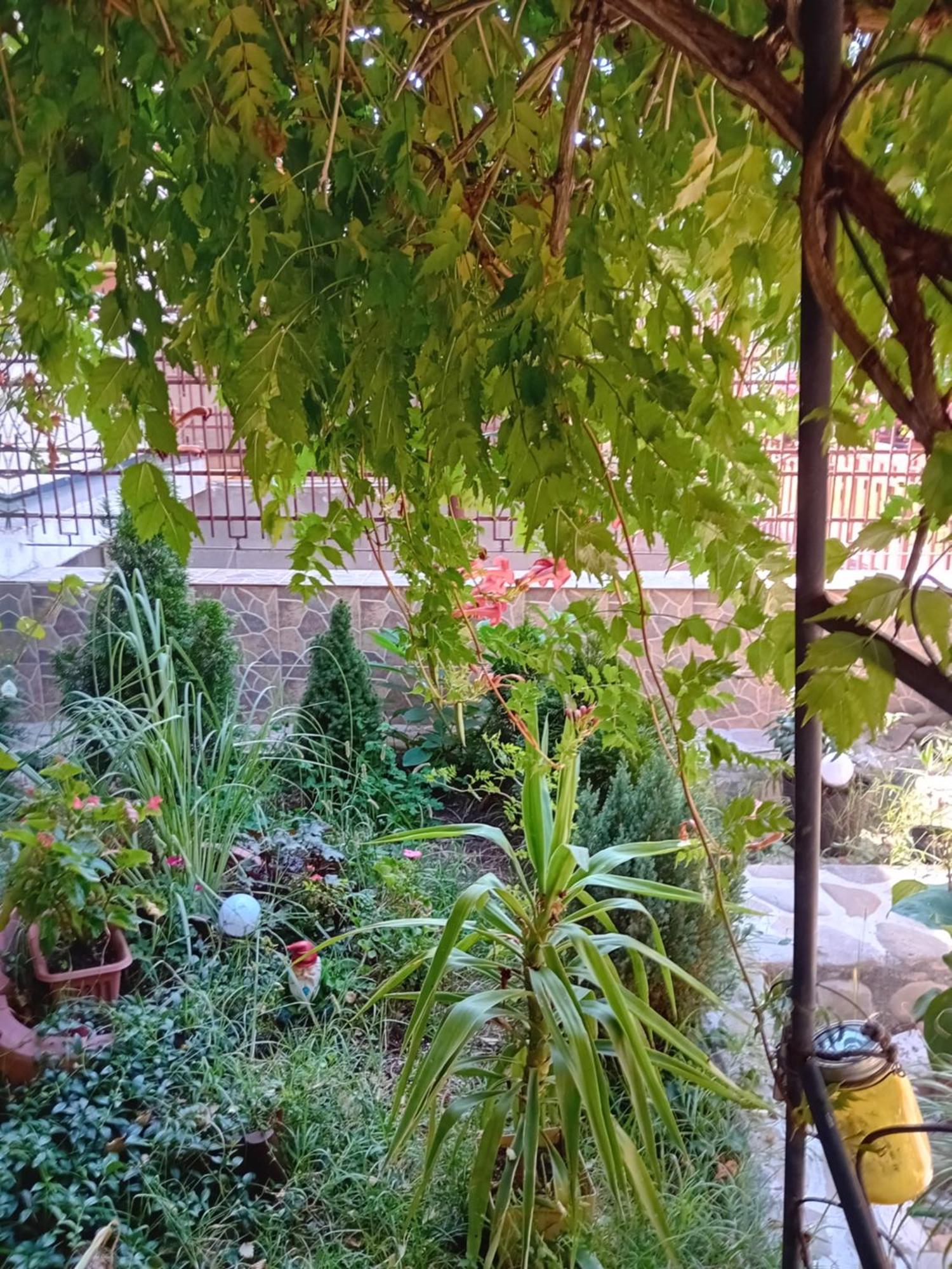 Apartament Cu Terasa La Casa Tina Timisoara Exterior photo