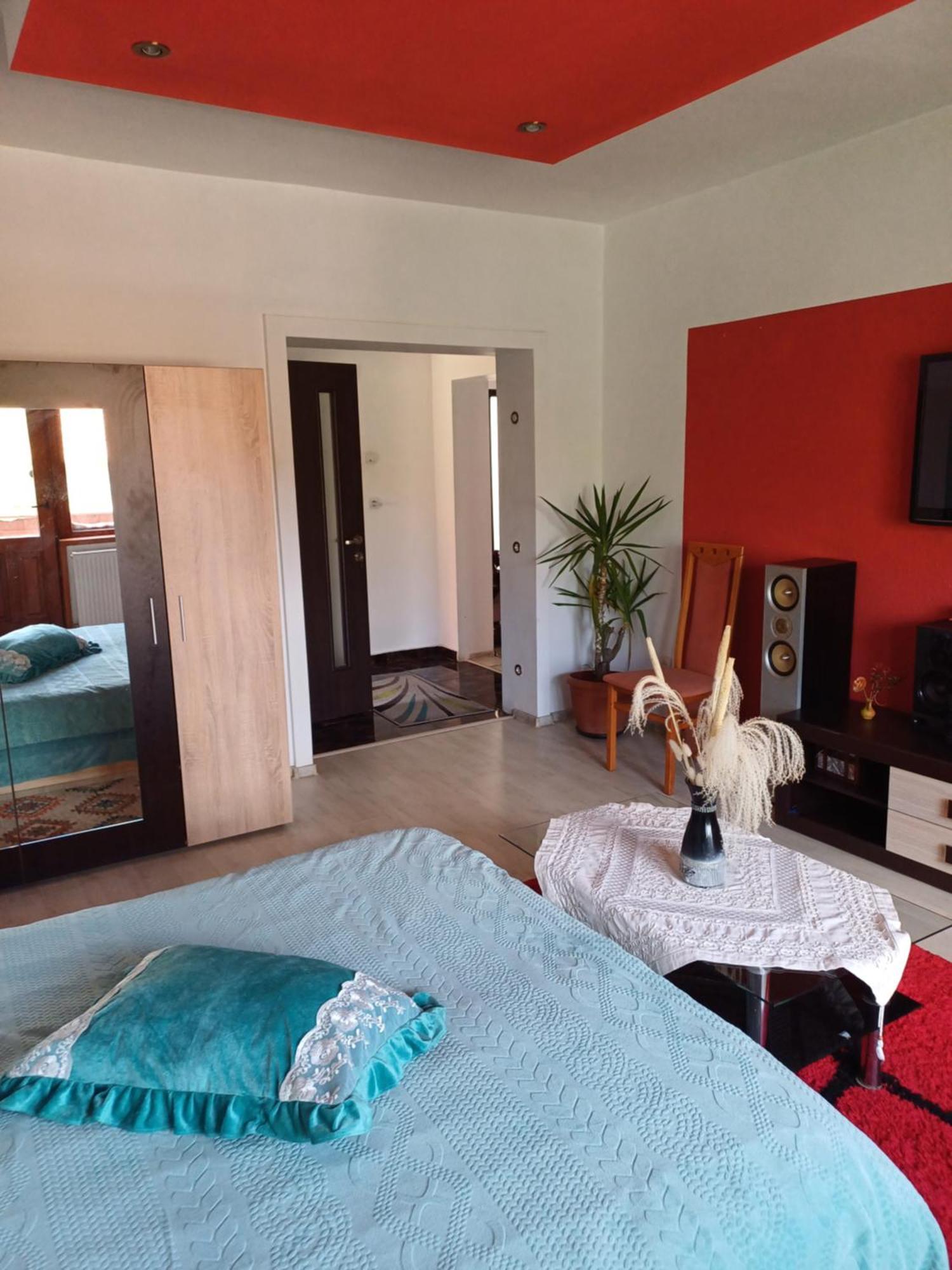 Apartament Cu Terasa La Casa Tina Timisoara Exterior photo
